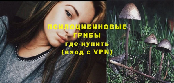 молекула духа Балабаново