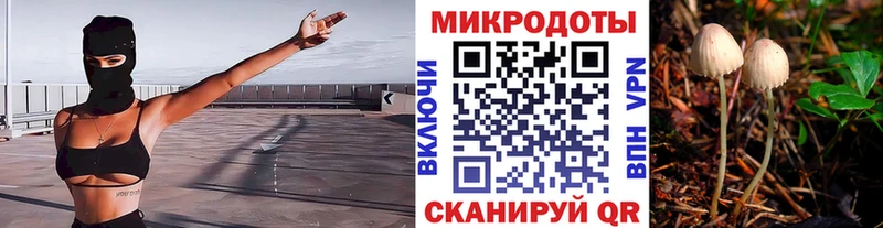 Галлюциногенные грибы прущие грибы  мега ONION  Пучеж 